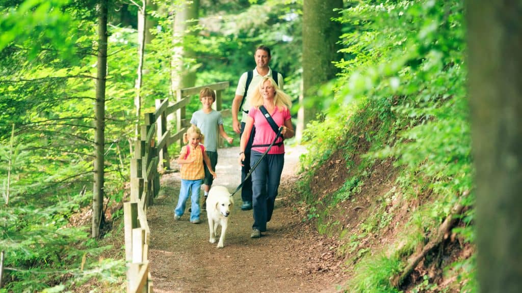 hikes and walking trails